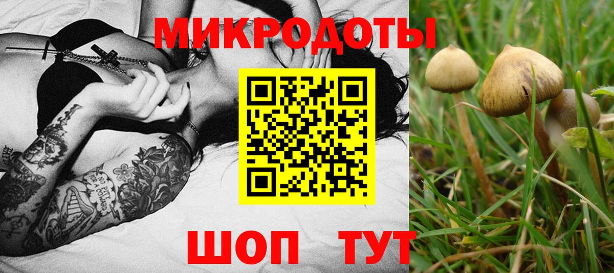Ипатово  Галлюциногенные грибы ЛСД  Вход с VPN 