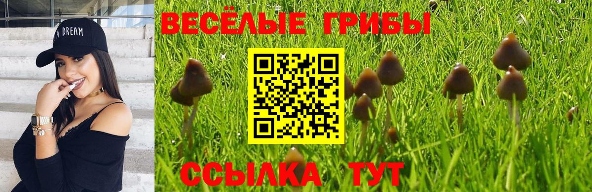 Псилоцибиновые грибы мухоморы Ипатово
